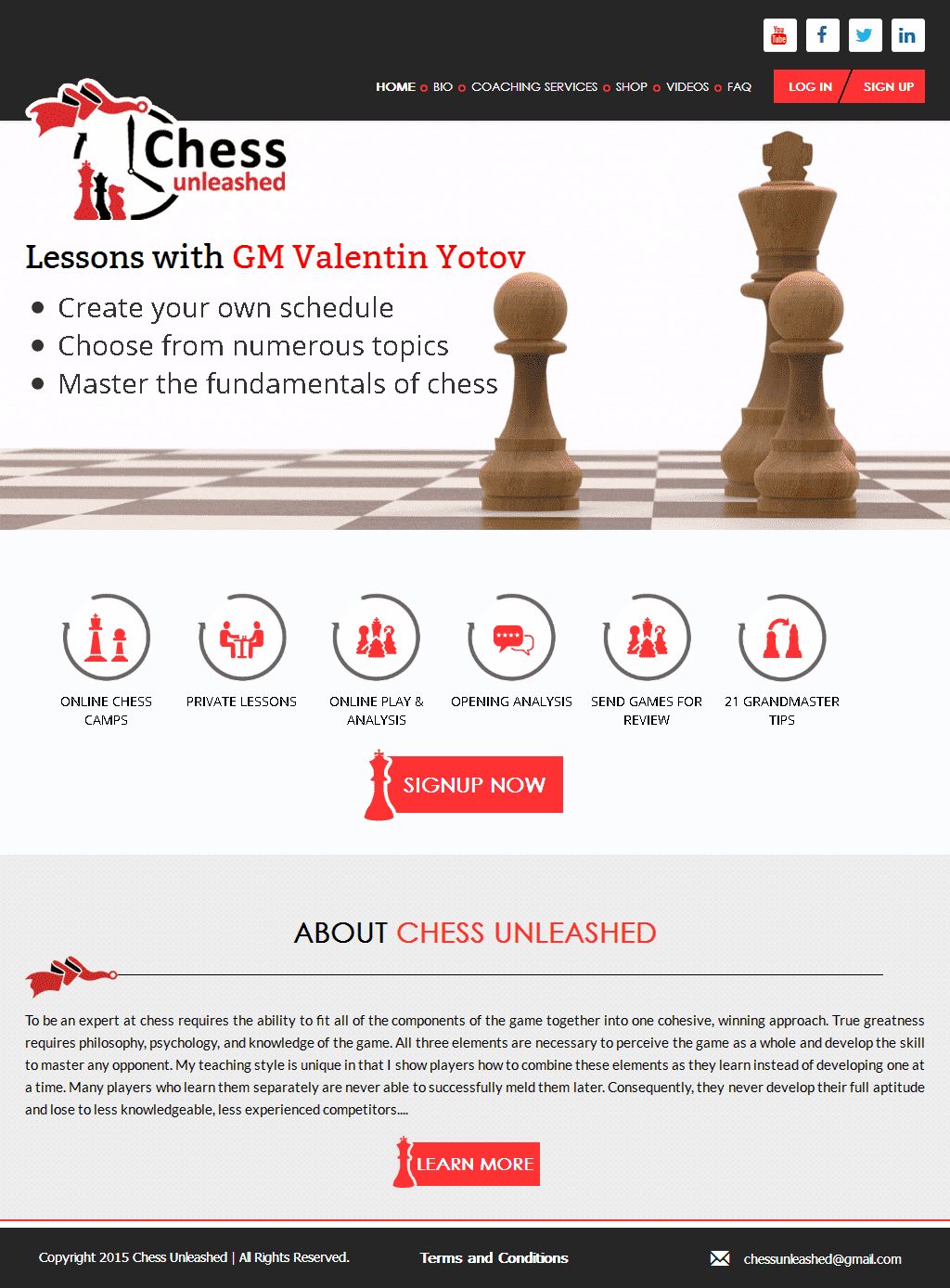 Case Study of www.chessunleashed.us